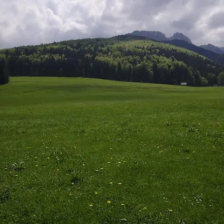 Pansiyon Pokoje Droga Do Daniela 9d Zakopane
